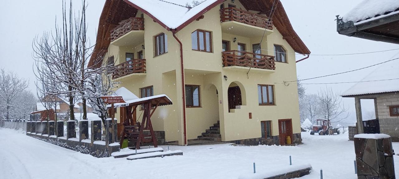 Sub Creasta Cocosului Hotel Breb Buitenkant foto