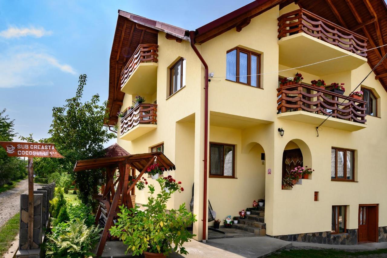Sub Creasta Cocosului Hotel Breb Buitenkant foto