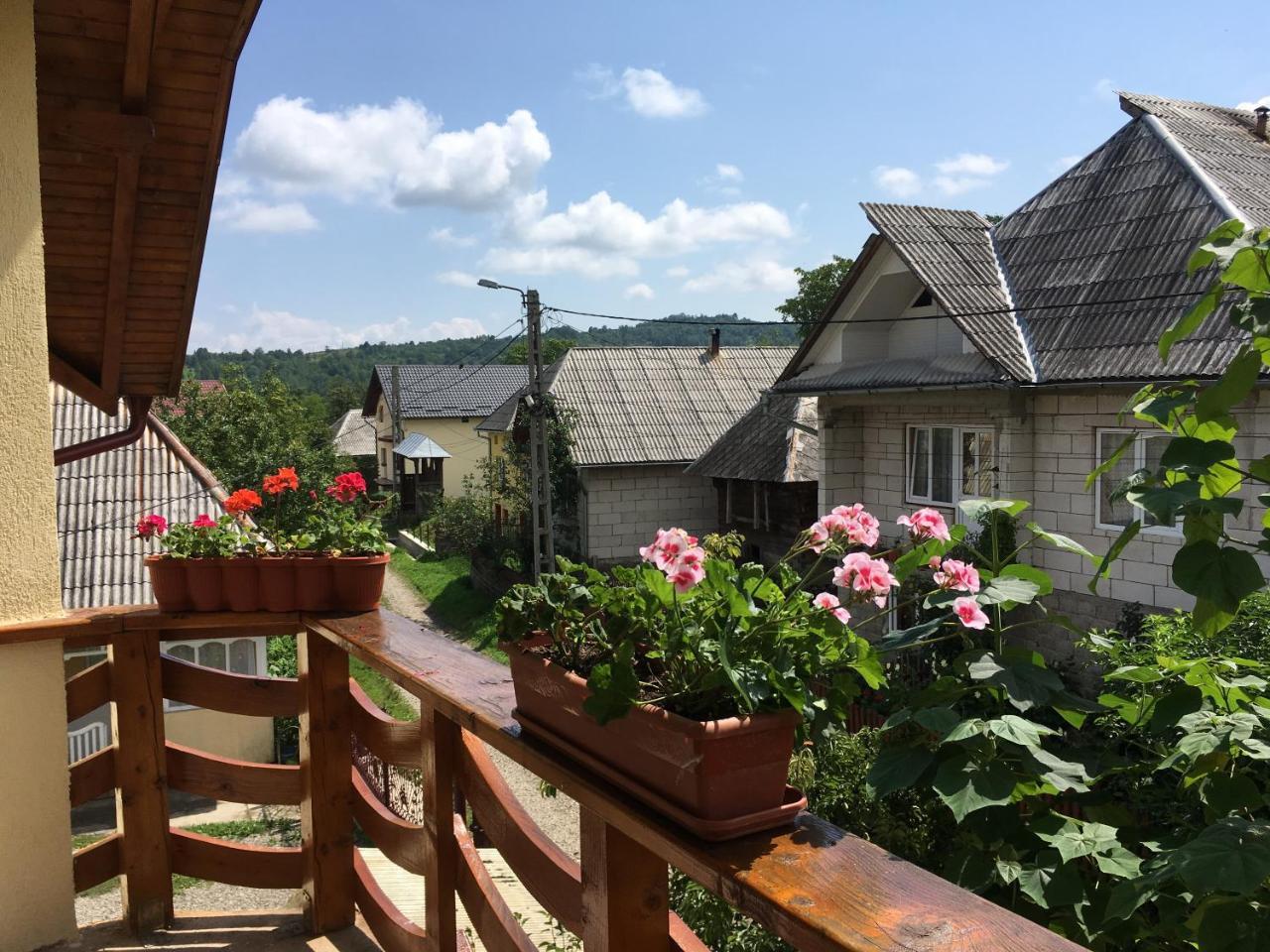 Sub Creasta Cocosului Hotel Breb Buitenkant foto