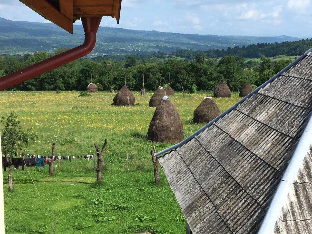 Sub Creasta Cocosului Hotel Breb Buitenkant foto