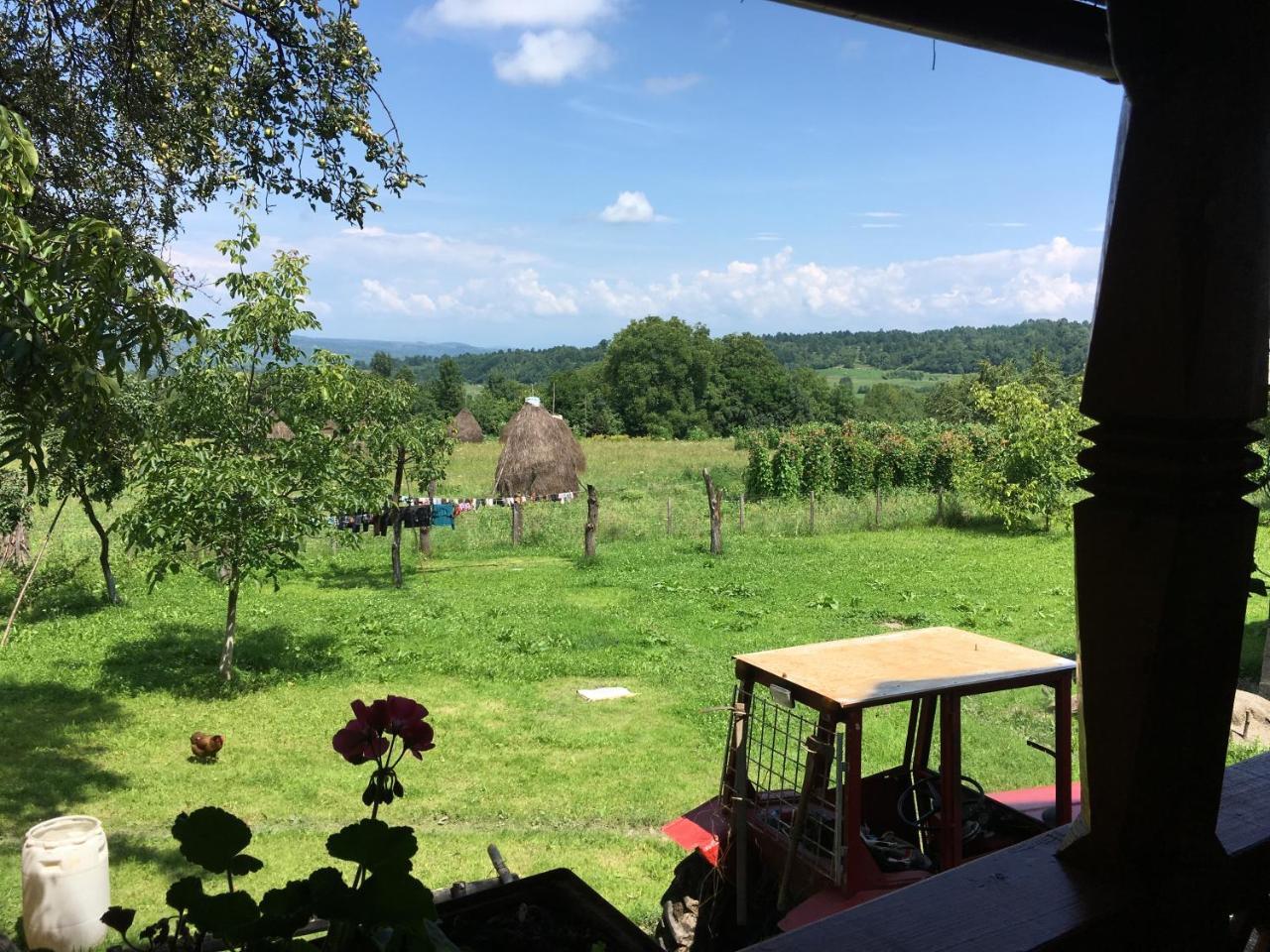 Sub Creasta Cocosului Hotel Breb Buitenkant foto