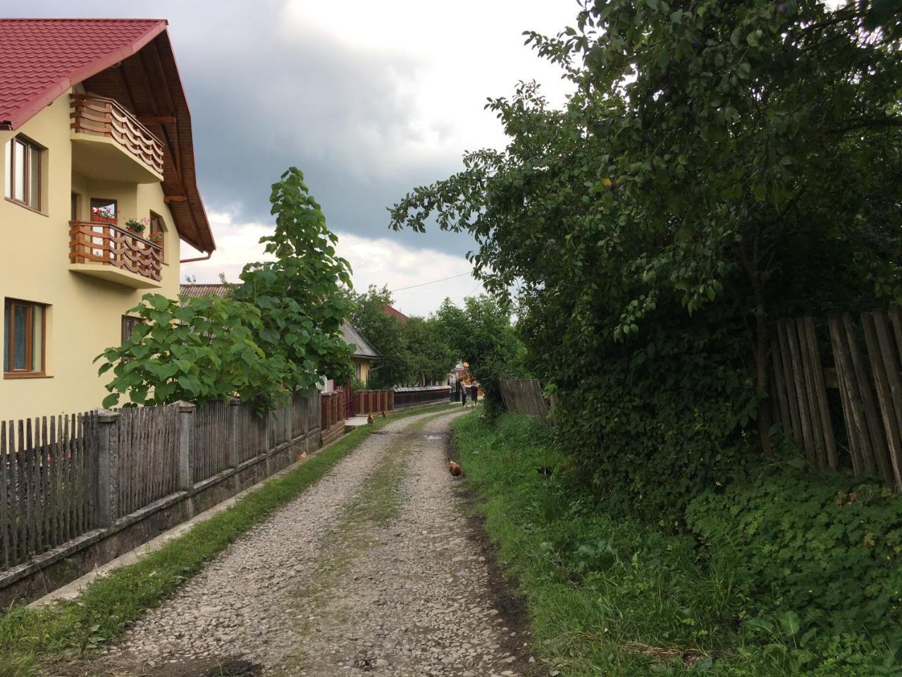 Sub Creasta Cocosului Hotel Breb Buitenkant foto