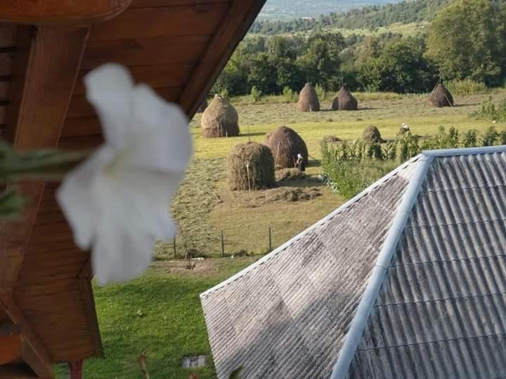 Sub Creasta Cocosului Hotel Breb Buitenkant foto